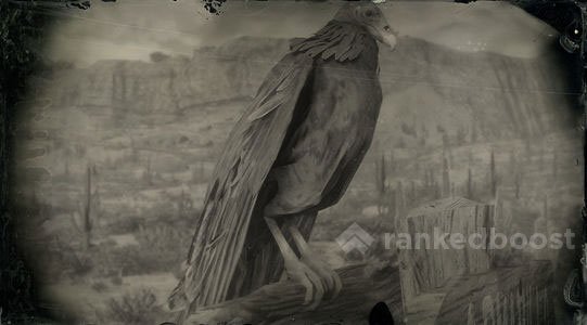 Red Dead Redemption 2 Vulture